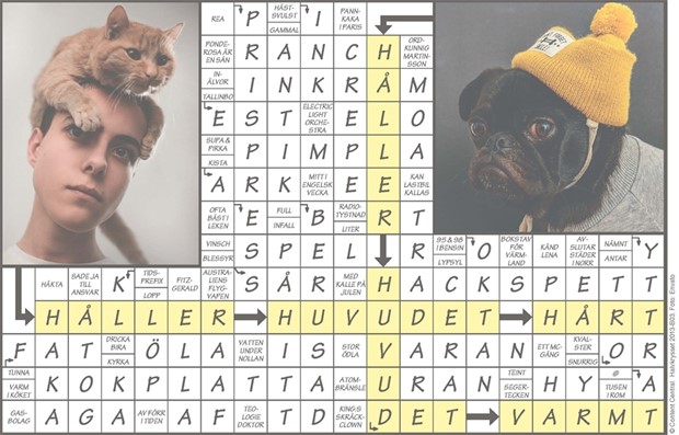 Krysset lsning vecka 3