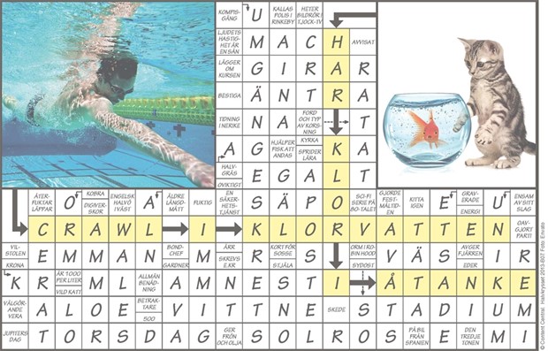 Krysset lsning vecka 7