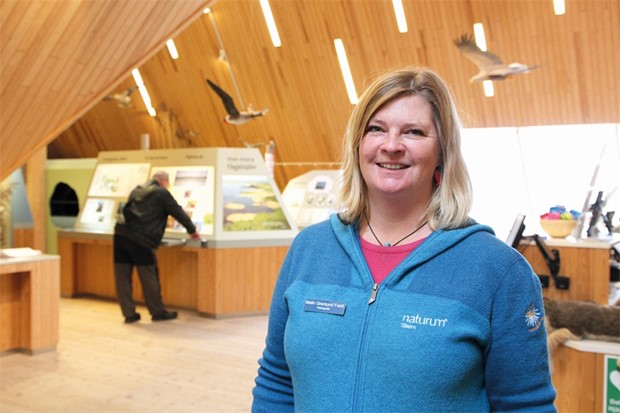 Drfr r det fler fglar