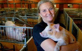 Svenska livsmedelsproducenter vinnare i Coronakrisen?