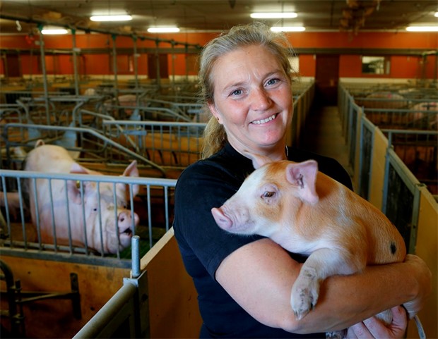 Svenska livsmedelsproducenter vinnare i Coronakrisen?