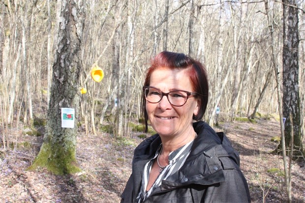 Ann smyckar skogen med konst 