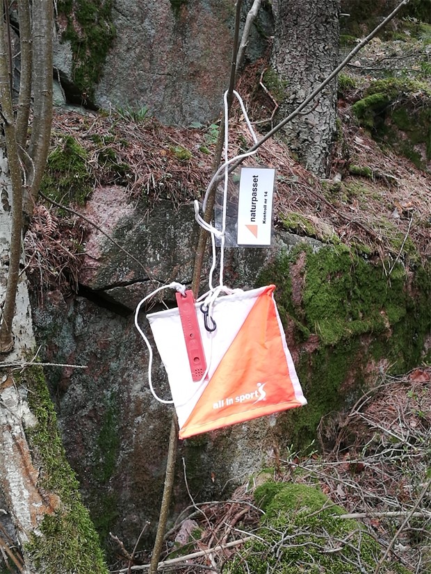 Nu kan allmnheten leta kontroller i skogen igen