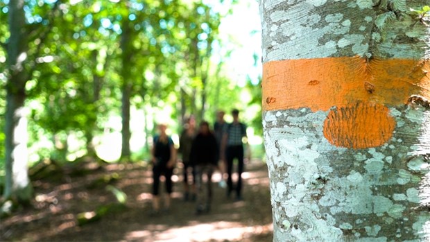 Nu blir det enklare att hitta p stgtaleden