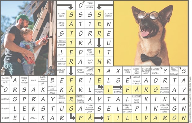 Krysset l�sning vecka 29