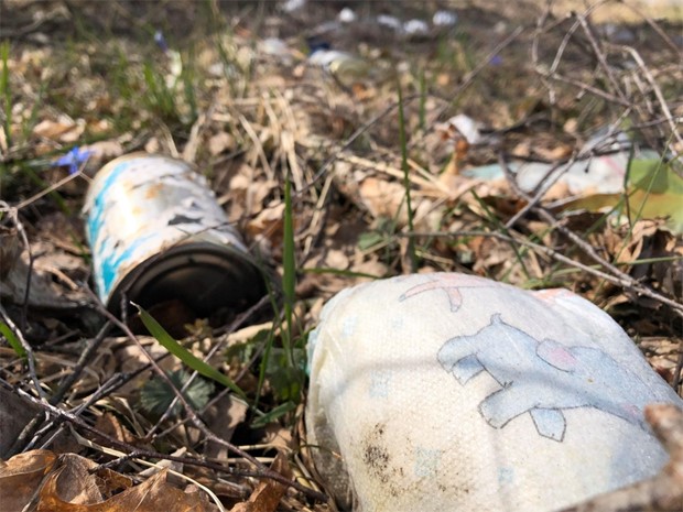 Hr r skolorna som har chans att bli Sveriges mest hllbara 