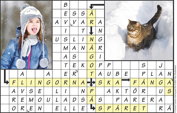 Krysset l�sning vecka 49