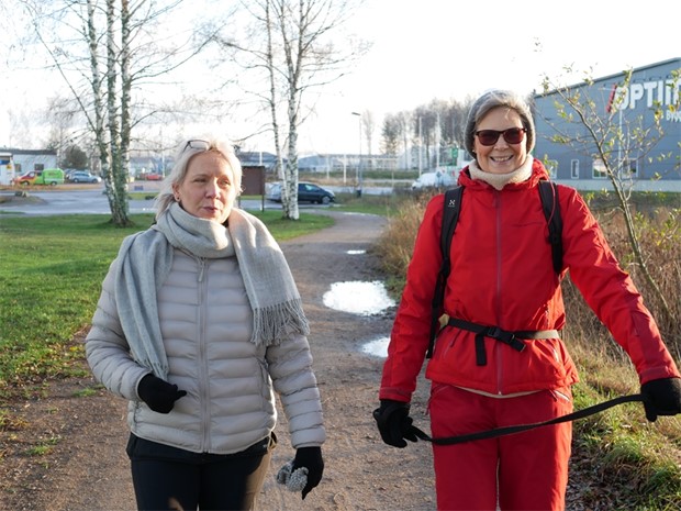 De har gtt alla kommunens elljusspr  betygen r blandade 