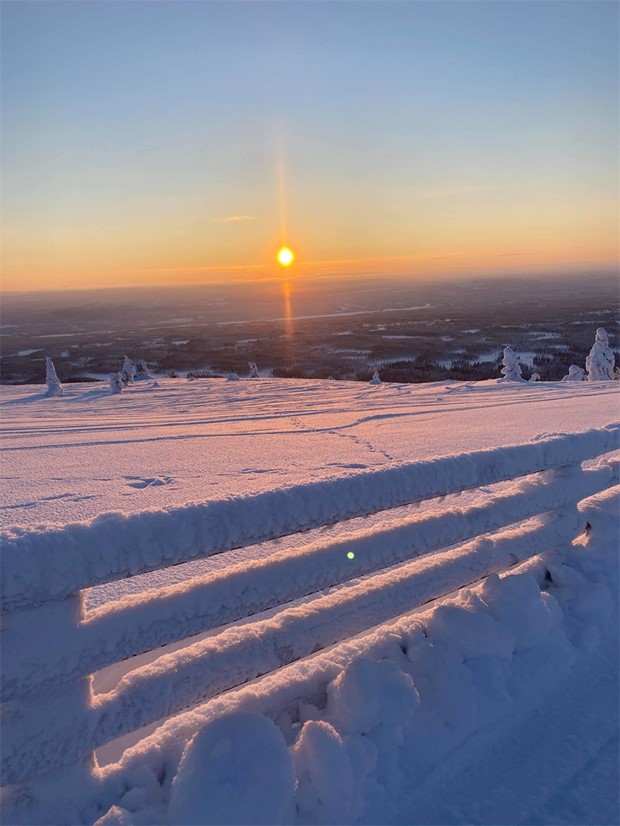 Hr sticker dialekten ut mest - och kan stgtskan gynnas av pandemin? 