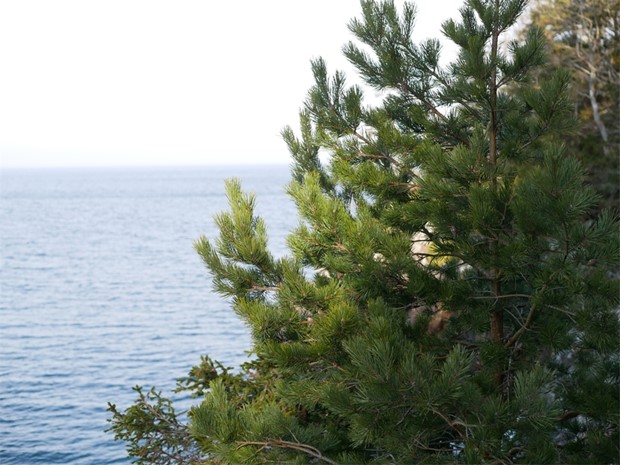 Mycket att uppleva i deshgs kommun i sommar 