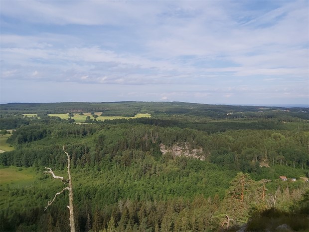 Ett naturventyr p Hleberget ihop med blgetingar och Vtternresande discgolfare 