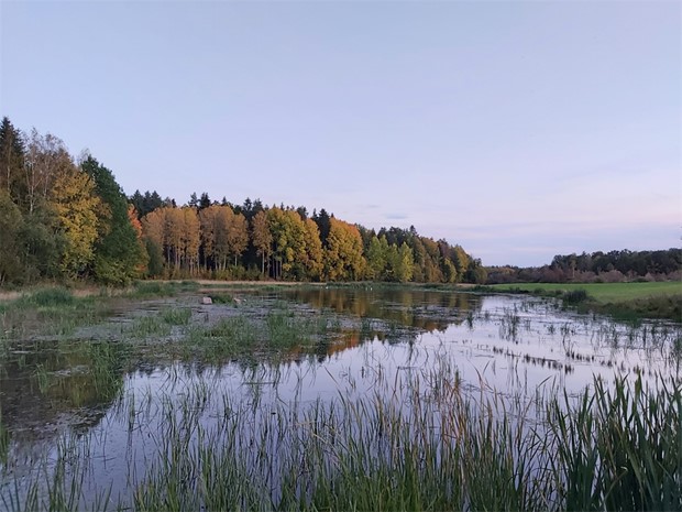 L�vskogarna i V�stra Harg � tr�ningsfacilitet och avstressande naturmedicin 