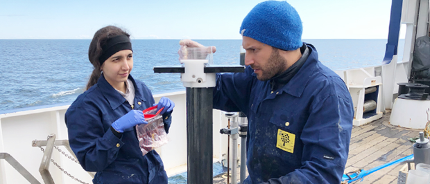 Froreningarnas historia berttas genom stersjns sediment