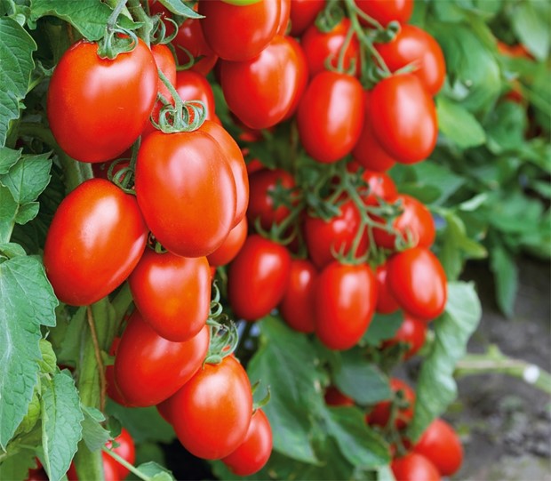 Lanserar egen frkollektion