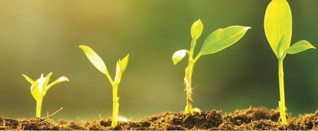 Industrins gratisutsl�pp av koldioxid m�ste stoppas