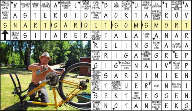 Krysset lsning vecka 21, 2023 