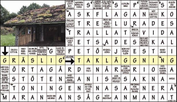Krysset lsning vecka 32, 2023