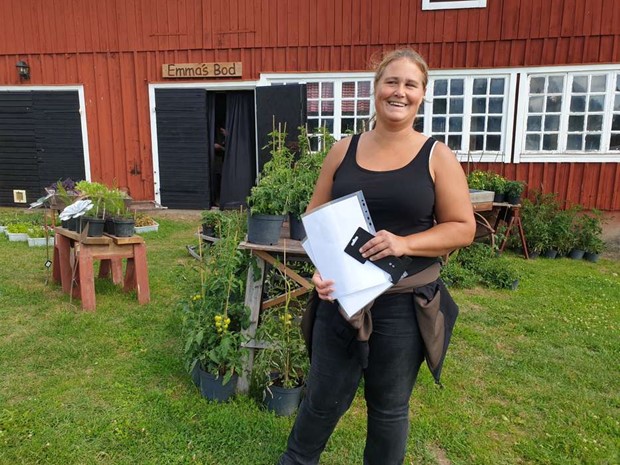 Dahliorna lockar hos Emma i Grnsefall