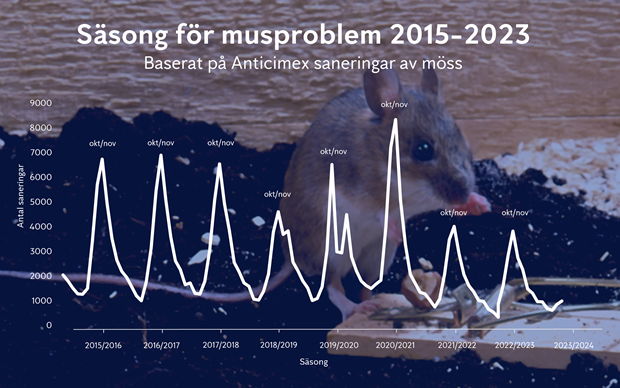 H�gs�songen f�r problem med m�ss �r h�r � proffsens fem b�sta tips 