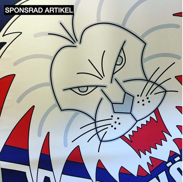 Link�ping har n�got stort p� g�ng - utmanar de b�sta i SHL 