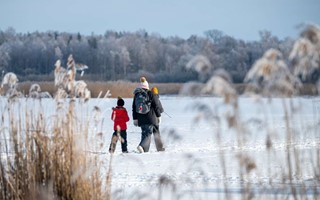 Poppa popcorn och bygg en fgelholk