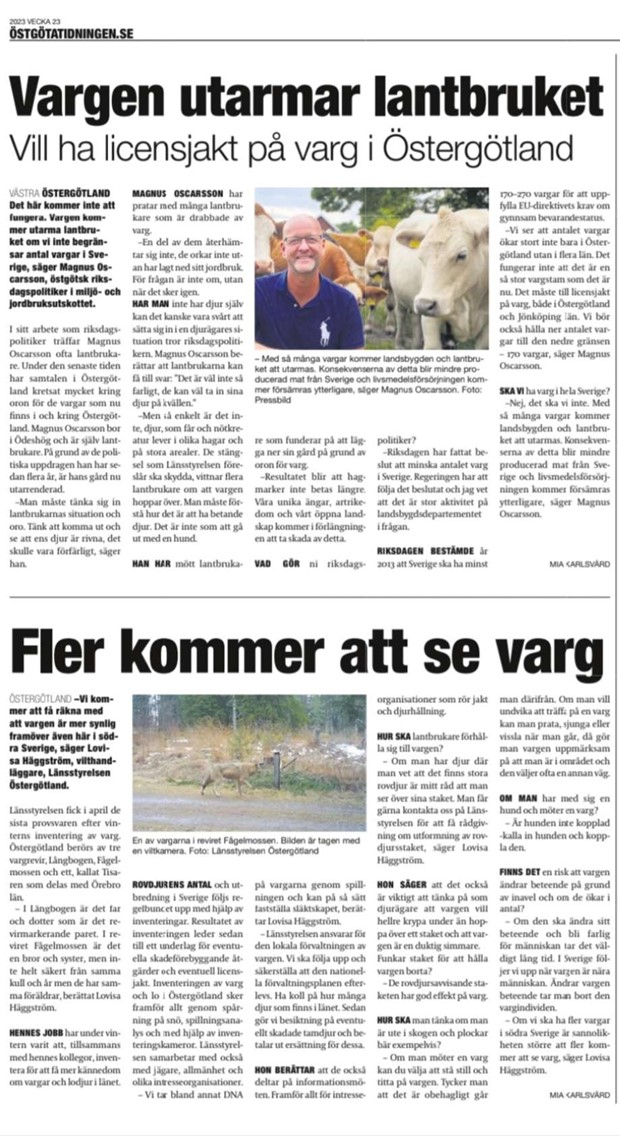 Skyddsjakt p varg efter angrepp p fr