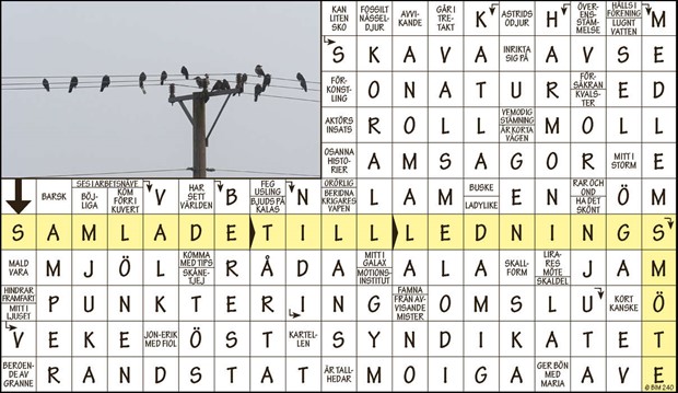 Krysset l�sning vecka 28, 2024