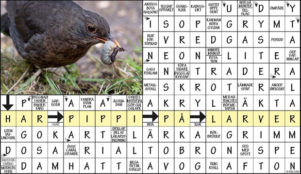 Krysset l�sning v37, 2024