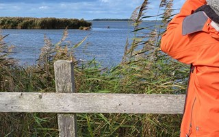 Nu r det full fart p hstlovet