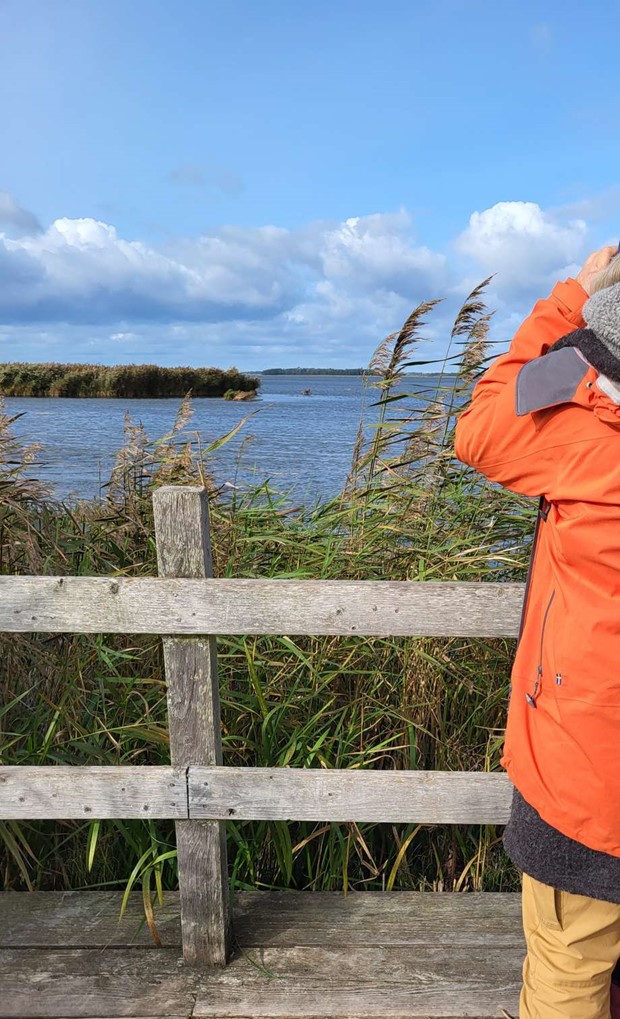 Nu r det full fart p hstlovet