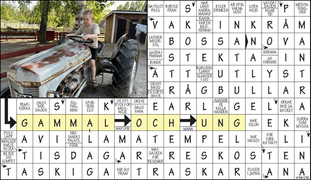 Krysset l�sning v45, 2024