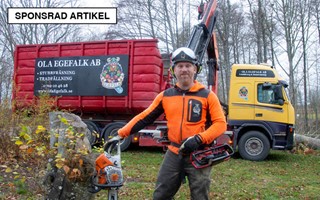 Ola tar hand om träden som ingen annan vågar fälla