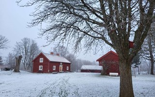 Julpromenad i hembygdsgrden  men inte fr alla