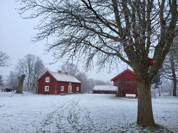 Julpromenad i hembygdsgrden  men inte fr alla