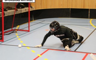 Hammarby Innebandy: En Resa Genom Seger och Sp�nning 