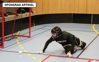 Hammarby Innebandy: En Resa Genom Seger och Spänning