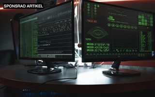 Hur du surfar s�kert: Vanliga risker och effektiva f�rsvarsstrategier 