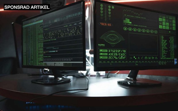 Hur du surfar skert: Vanliga risker och effektiva frsvarsstrategier 