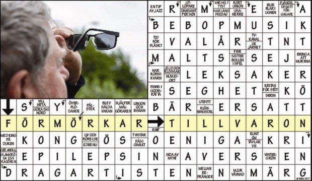 Krysset lsning v46, 2024