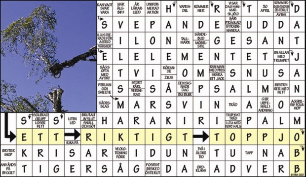 Krysset lsning v49, 2024