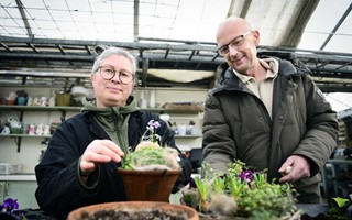 I Habblarp spirar trenderna