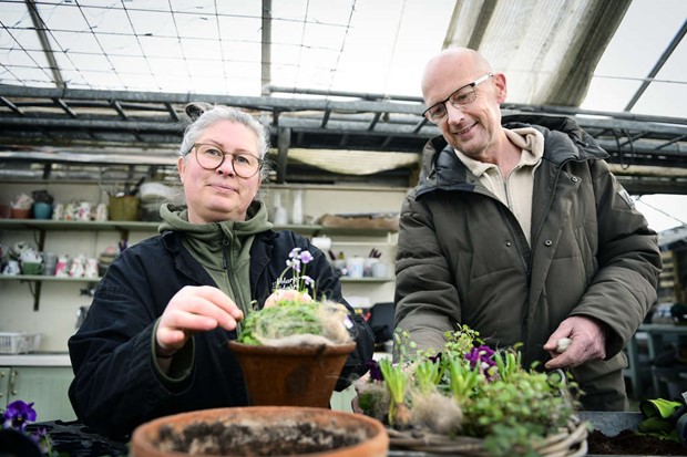 I Habblarp spirar trenderna