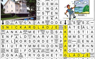 Krysset lsning vecka 9, 2025