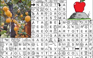 Krysset lsning vecka 11, 2025