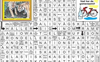 Krysset lsning vecka 13, 2025