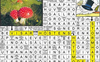 Krysset lsning vecka 14, 2025