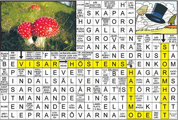 Krysset lsning vecka 14, 2025