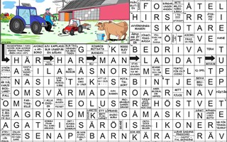 Krysset lsning vecka 15, 2025