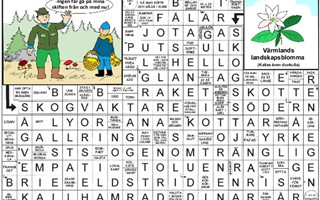 Krysset lsning vecka 16, 2025