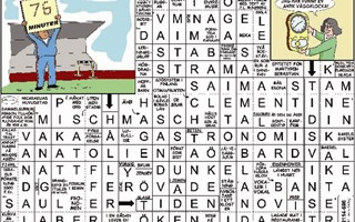 Krysset lsning vecka 17, 2025